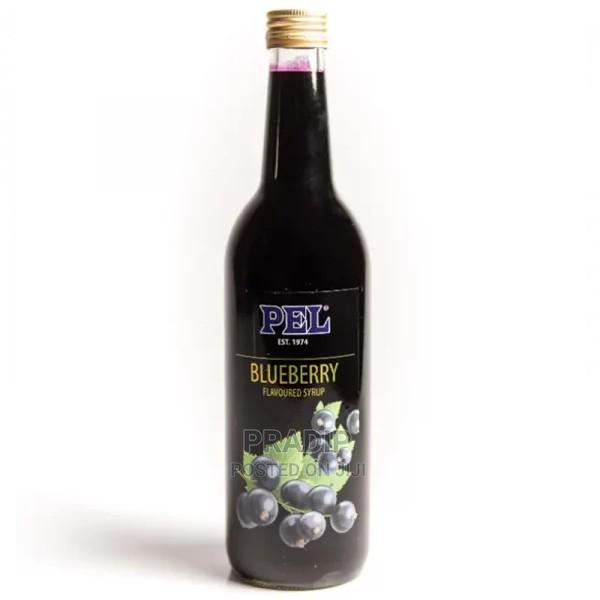 Blueberry Flavored Syrup - main view