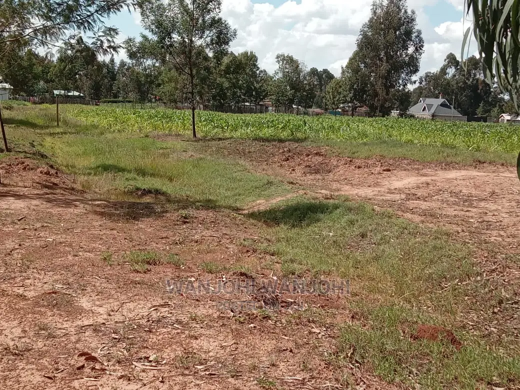 Plots on Tarmac