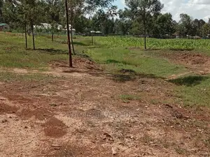 Plots on Tarmac