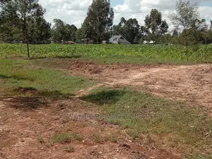 Plots on Tarmac