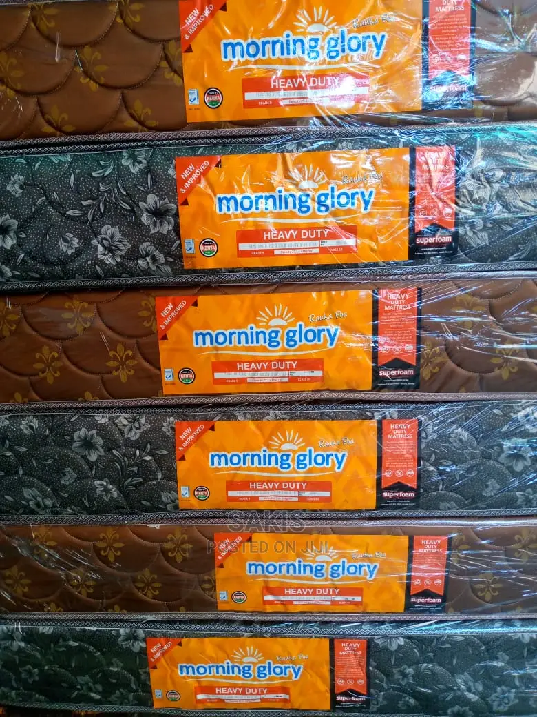 Affluent! 5 By 6 Morning Glory 8inch Quilted Hd Mattresses.
