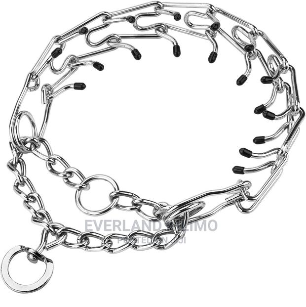 Prong Collar - main view