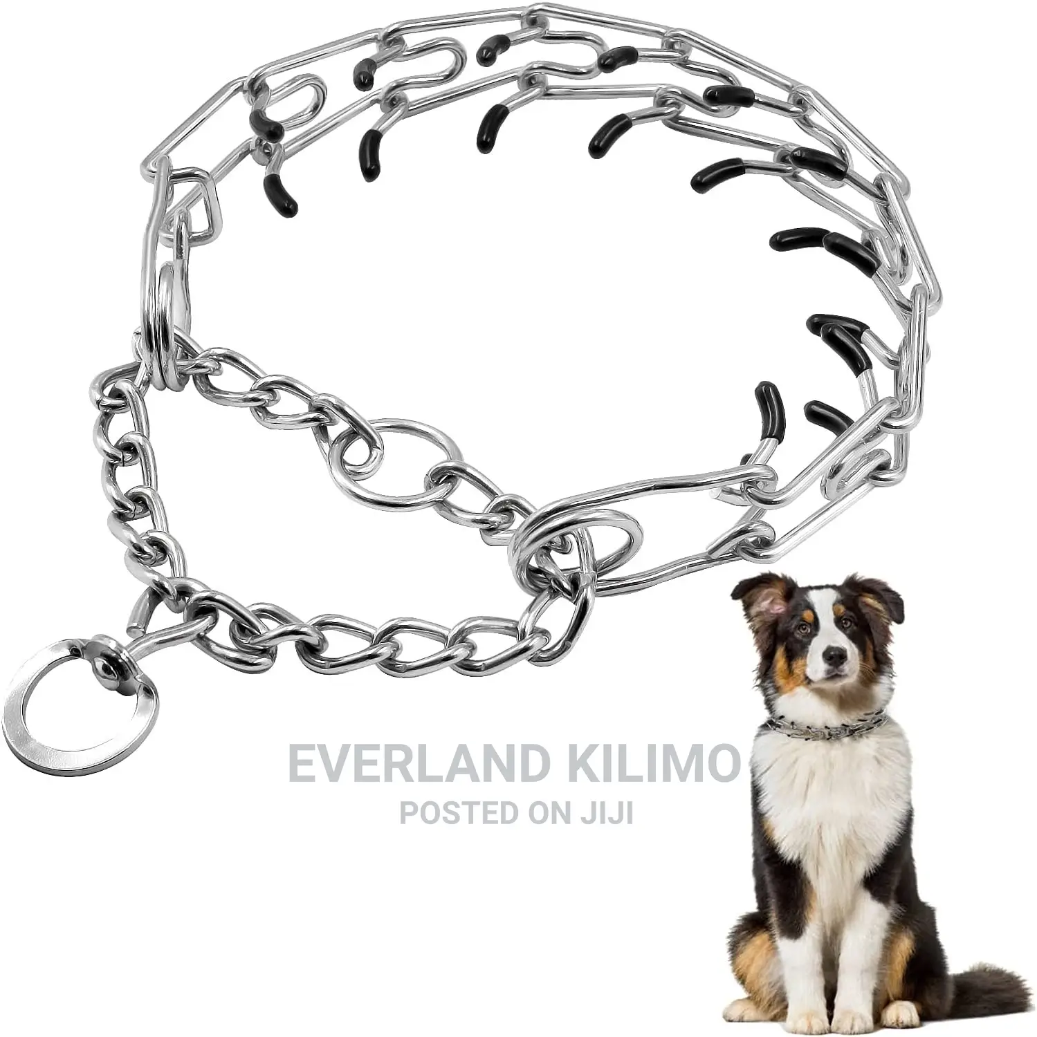Prong Collar