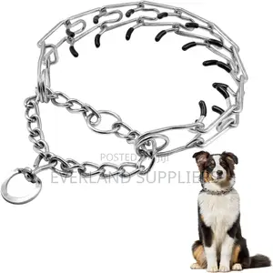 Prong Collar