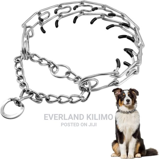 Prong Collar - thumbnail 3