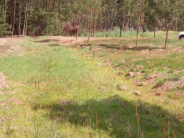 Prime Plots in Oljoroorok - thumbnail 3