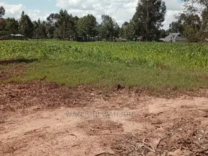 Prime Plots in Oljoroorok