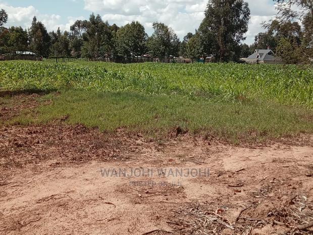 Prime Plots in Oljoroorok - thumbnail 4