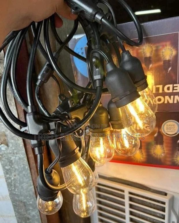 String Lights for Garden (20mtrs) for 20 Bulbs - main view