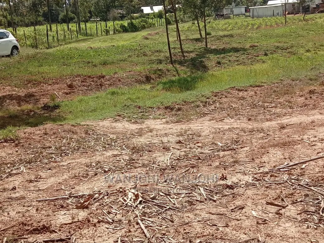 Grab a Prime Plot in Nyandarua