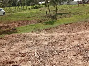 Grab a Prime Plot in Nyandarua