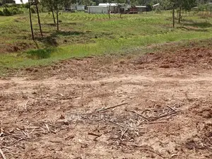 Grab a Prime Plot in Nyandarua