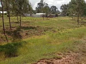 Grab a Prime Plot in Nyandarua