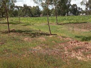 Best Deal Plots - thumbnail 2