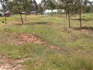 Best Deal Plots