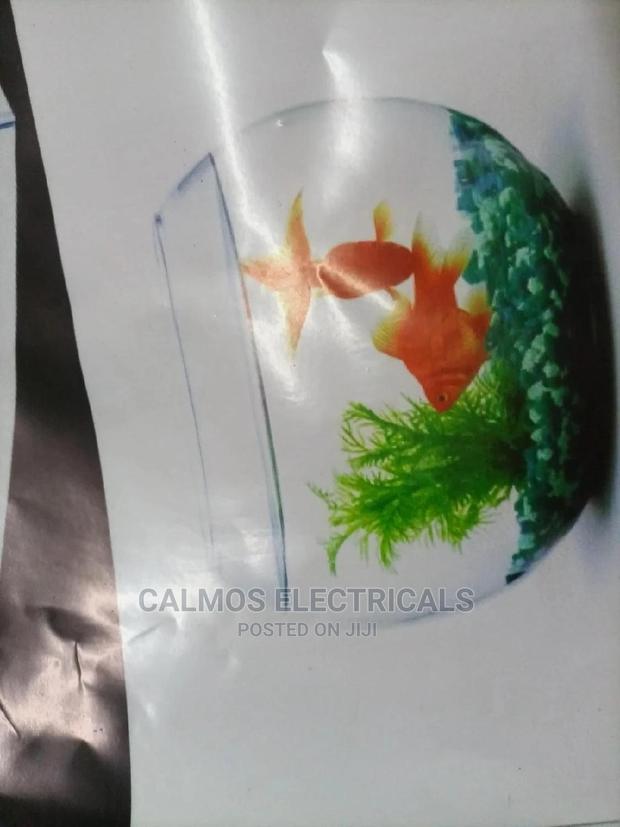 Aquarium Fish Bowls - main view