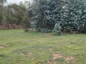 Top-Tier Plots in Kasuku, Nyandarua County