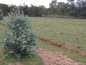 Top-Tier Plots in Nyandarua County - thumbnail 2