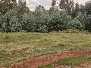Top-Tier Plots in Nyandarua County