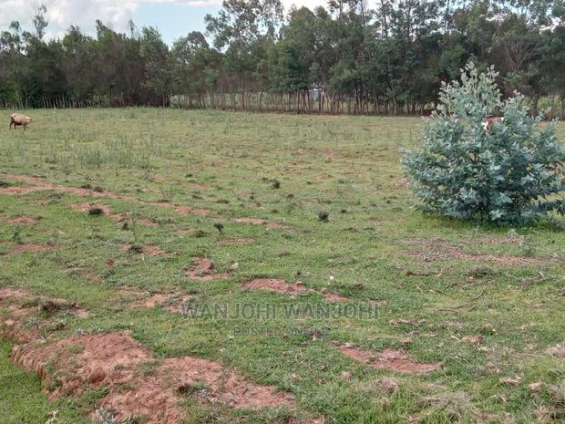 Excellent 50x100 Plots in Nyandarua - main view