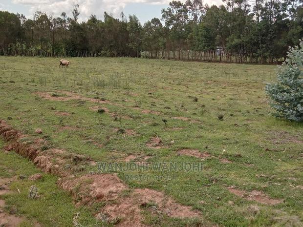 Excellent 50x100 Plots in Nyandarua - thumbnail 3