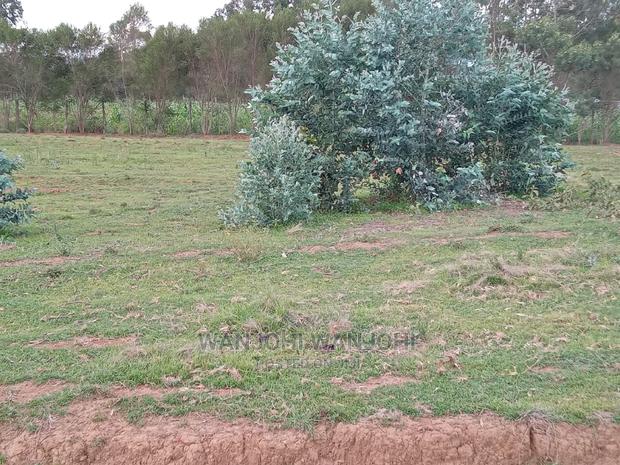 Excellent 50x100 Plots in Nyandarua - thumbnail 4