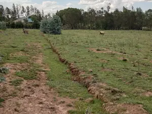 Own a Piece of Nyandarua