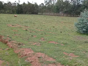Own a Piece of Nyandarua