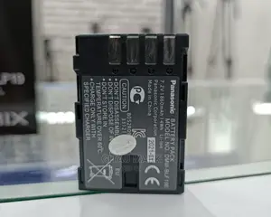 Lumix Panasonic DMW BLF 19 Battery for Lumix GH4 GH5