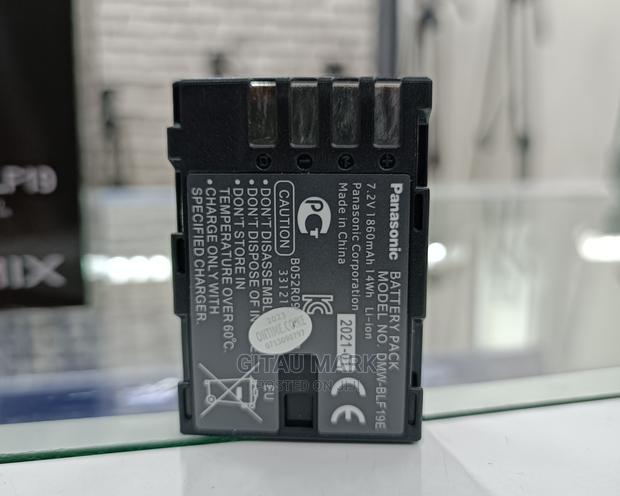 Lumix Panasonic DMW BLF 19 Battery for Lumix GH4 GH5