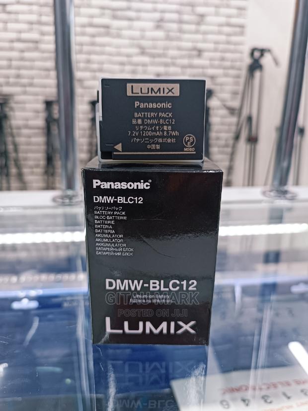 Panasonic DMW Blc12 Battery for Lumix G7,Fz100 and More
