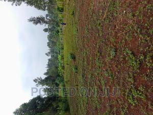 Kenyatta Road - thumbnail 2