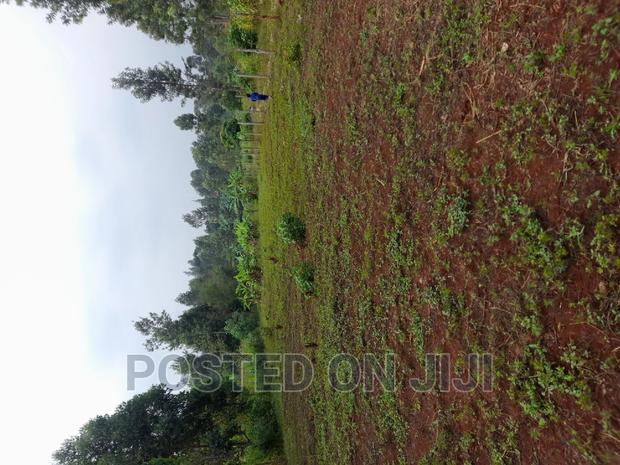 Kenyatta Road - main view