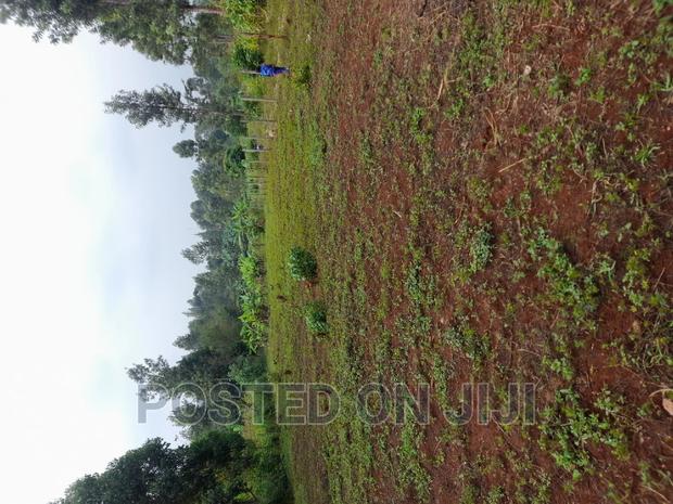 Kenyatta Road - thumbnail 3