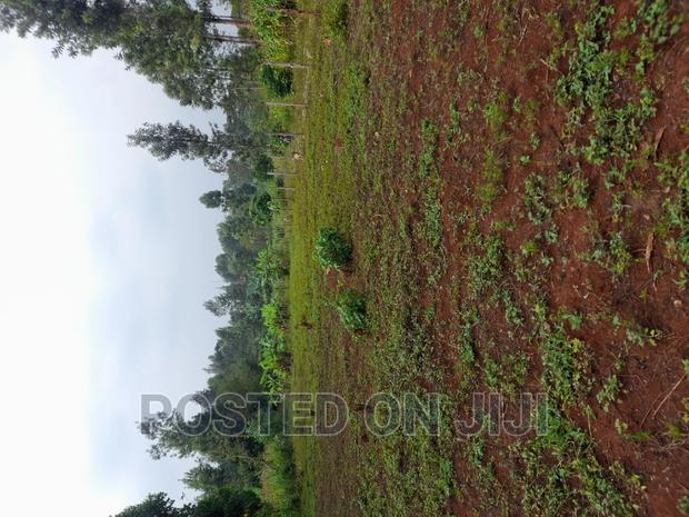 Kenyatta Road - thumbnail 5