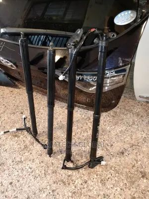 Electric/Automatic Harrier Boot Shocks