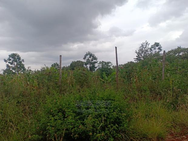 Westwood / Karangaita - thumbnail 9