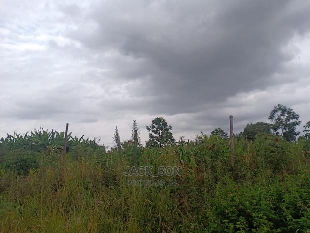 Westwood / Karangaita - thumbnail 10