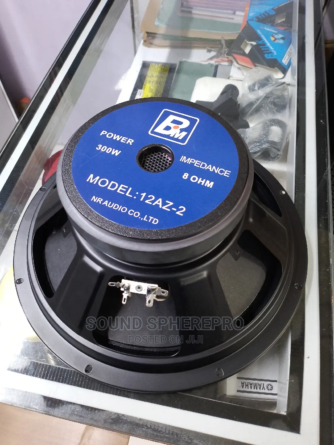 BM 12az-2 12 Inch Naked Speaker