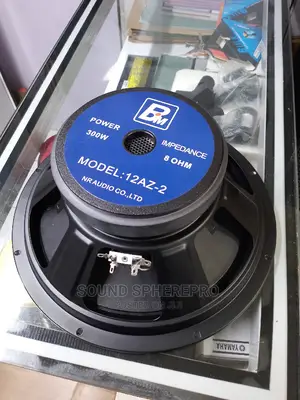 BM 12az-2 12 Inch Naked Speaker