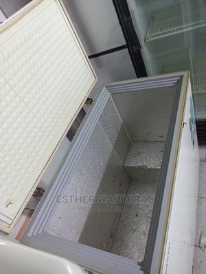 400l Deep Freezer Fridge - thumbnail 2
