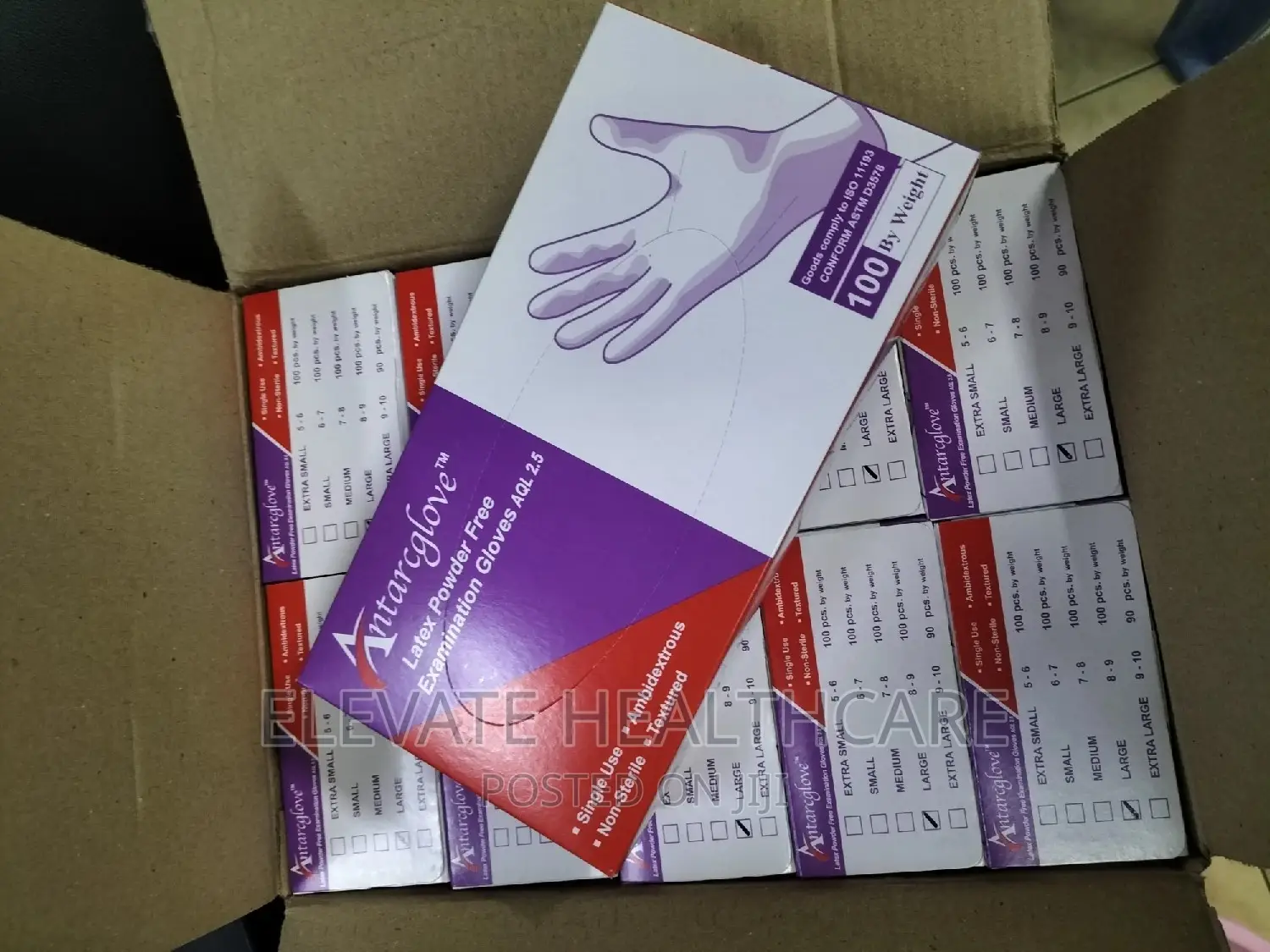Powder Free Large Size Gloves