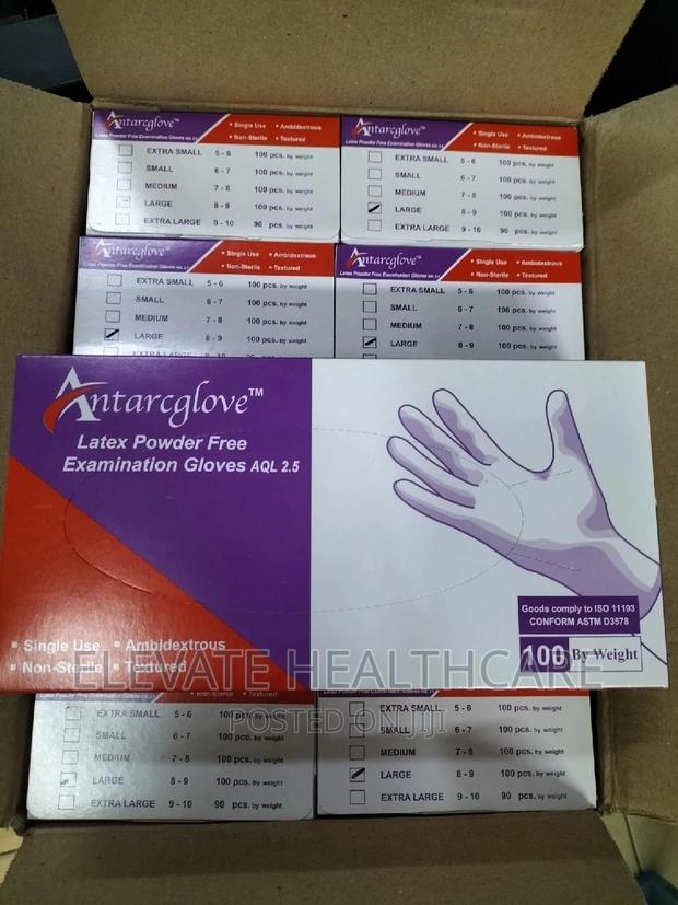 Powder Free Large Size Gloves - main view