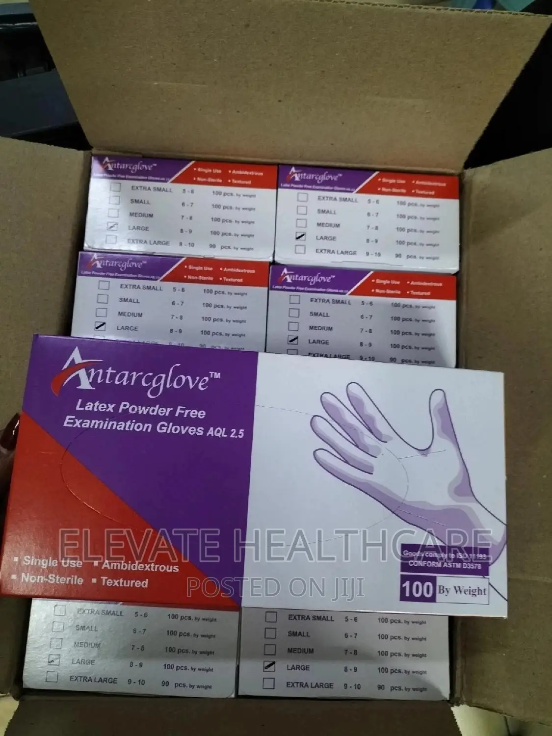 Powder Free Large Size Gloves