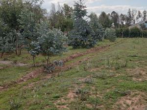 Decent Properties in Nyandarua (50×100) - thumbnail 2