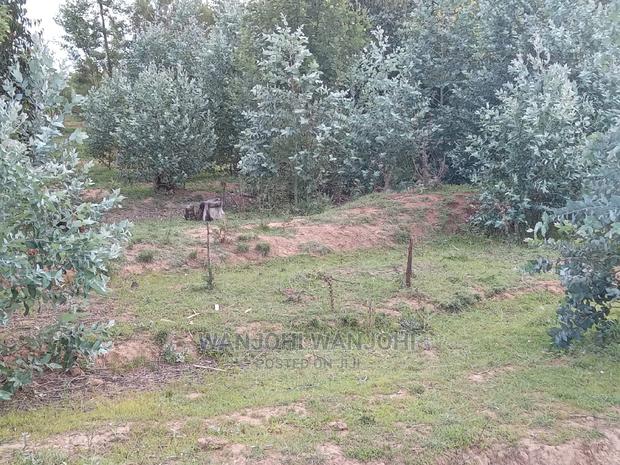 Decent Properties in Nyandarua (50×100) - thumbnail 3