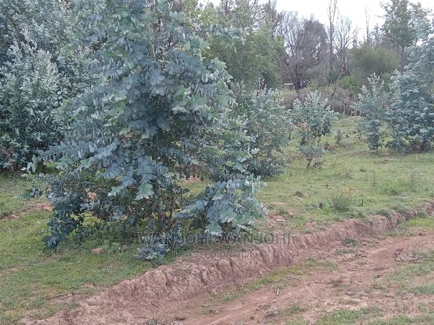 Decent Properties in Nyandarua (50×100) - thumbnail 4