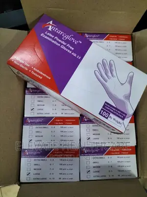 Powder Free Large Size Gloves