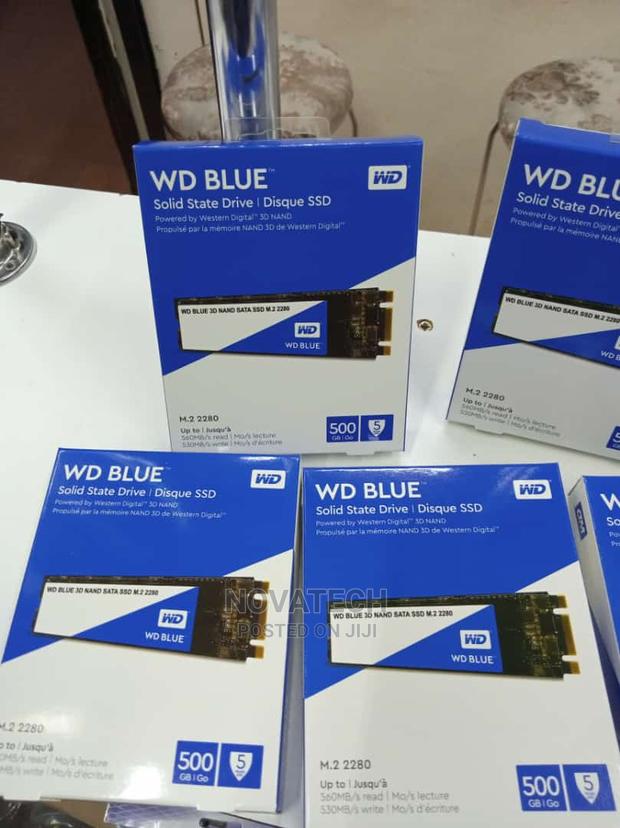 WD Blue M.2 Sata SSD 500gb Double Notch - main view