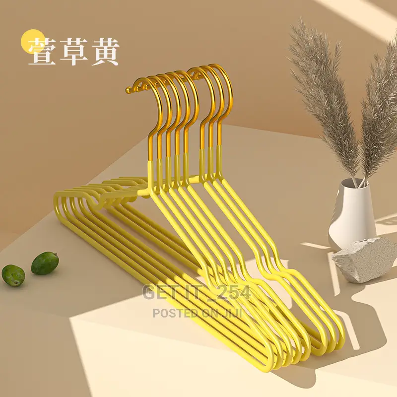 10 PCS Cloth Hangers